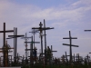 Nazwa pliku: ws361.JPG
Rozmiar pliku: 91KB
Wymiary: 800x600
Data dodania: 14 Października 2005 ws361.JPG
