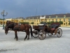 Nazwa pliku: ws590.jpg
Rozmiar pliku: 108KB
Wymiary: 758x569
Data dodania: 14 Października 2005 ws590.jpg