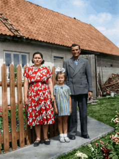 Ożywienie